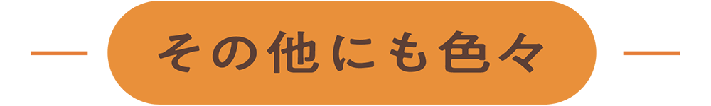 その他にも色々